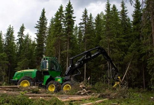 работа лесной