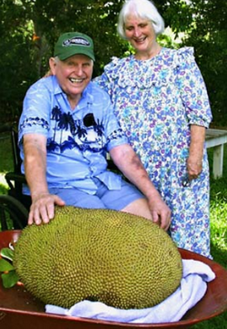 Семейная пара Шатауэр со своим гигантским джекфрутом