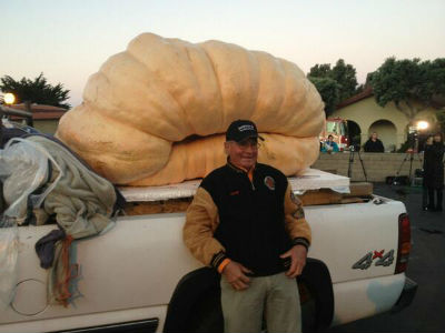 Гарри Миллер и его 900 килограммовая тыква