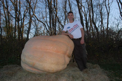 Крис Стивенс красуется рядом с его 821 килограммовой тыквой