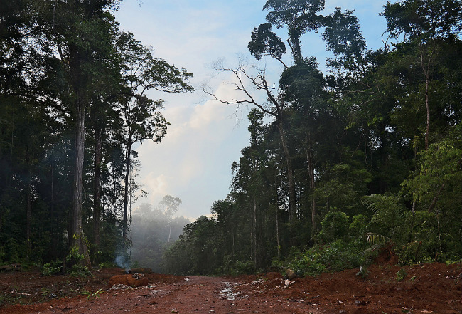 Традиционные места обитания в Амазонии