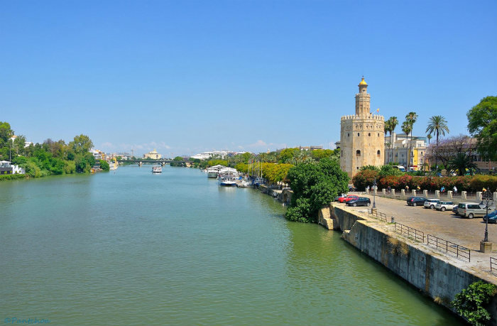 torre-del-oro