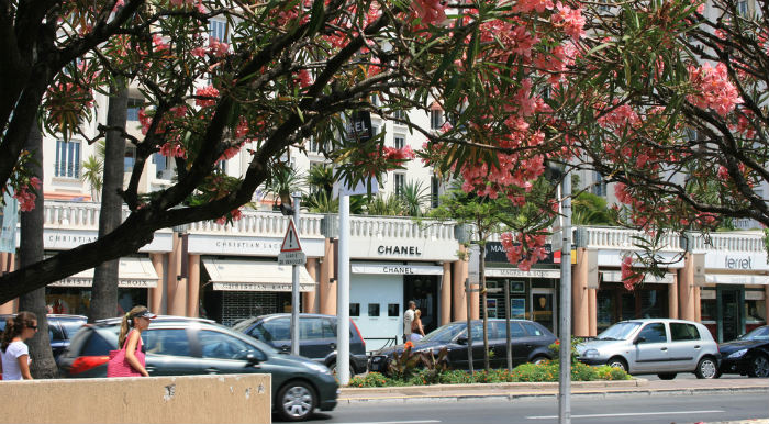 promenade-de-la-croisette
