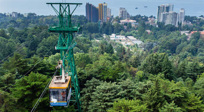 sochinskii-dendrarii5