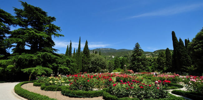 nikitinskiy-botanicheskiy-sad