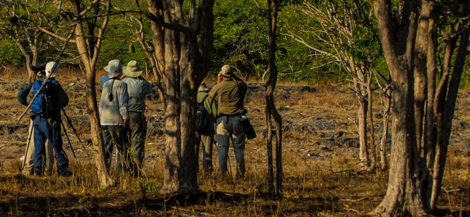 west-bali-national-park-4