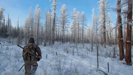 Лучшие места для охоты в России