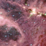 Молодая звезда L1448-IRS2E