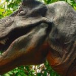 Парк динозавров на острове Пхукет